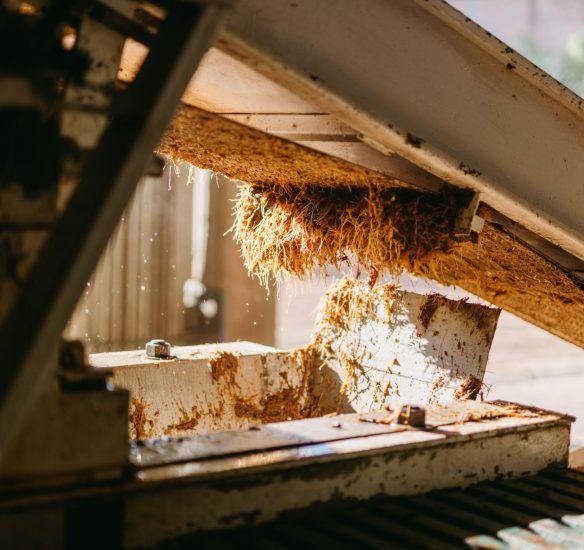 Pellet manufacturing plant