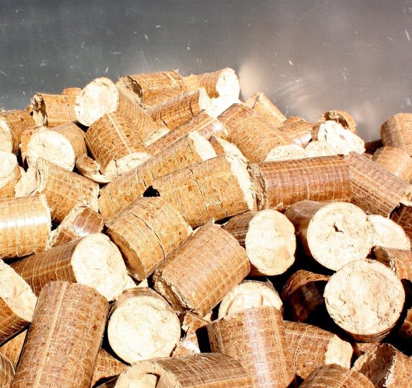 Torrefied biomass pellets